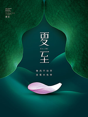 夏至节气简约大气海报
