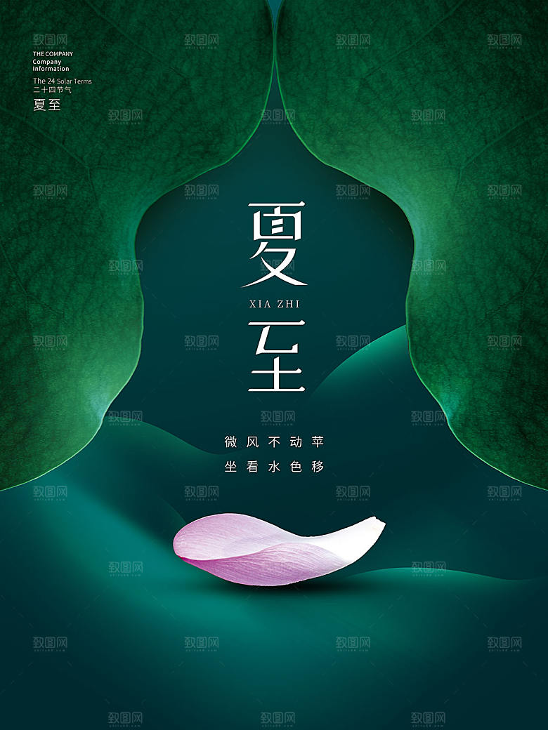 夏至节气简约大气海报