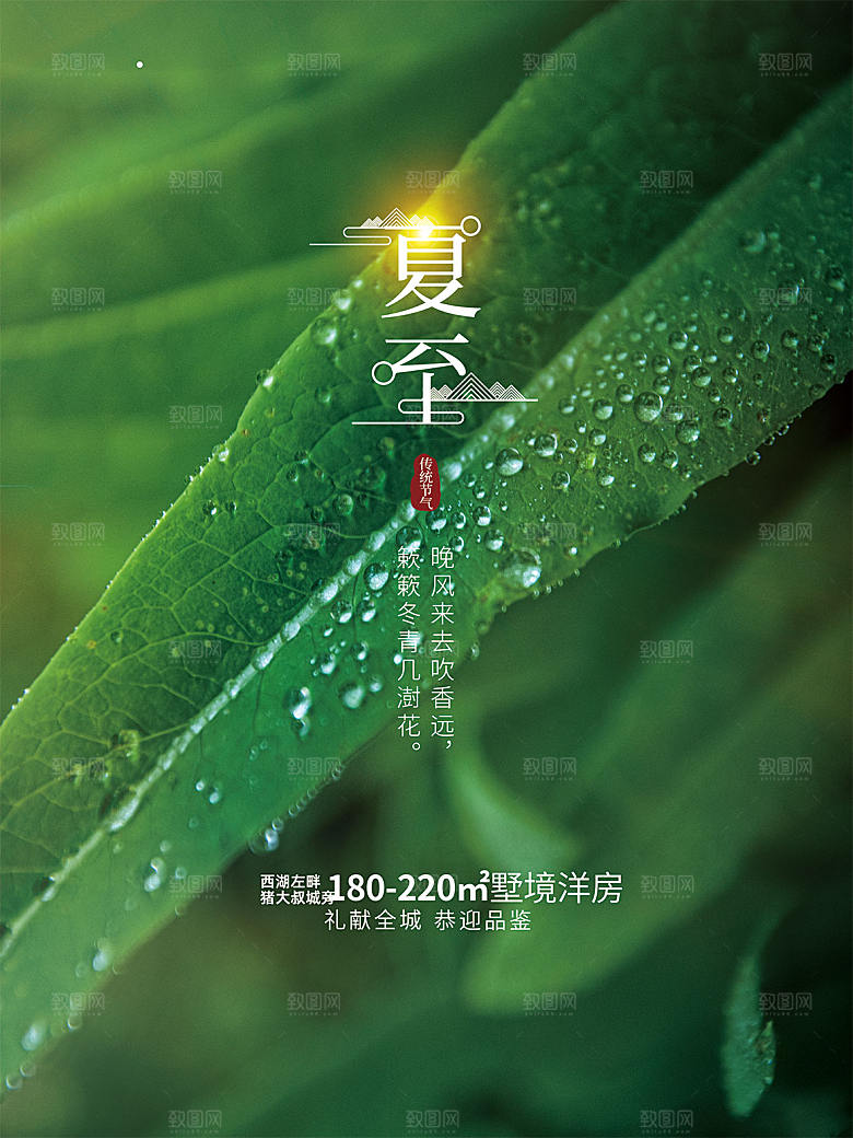 传统节气夏至海报模版
