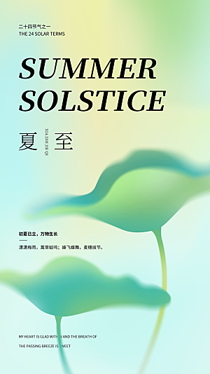 夏至节气简约大气海报