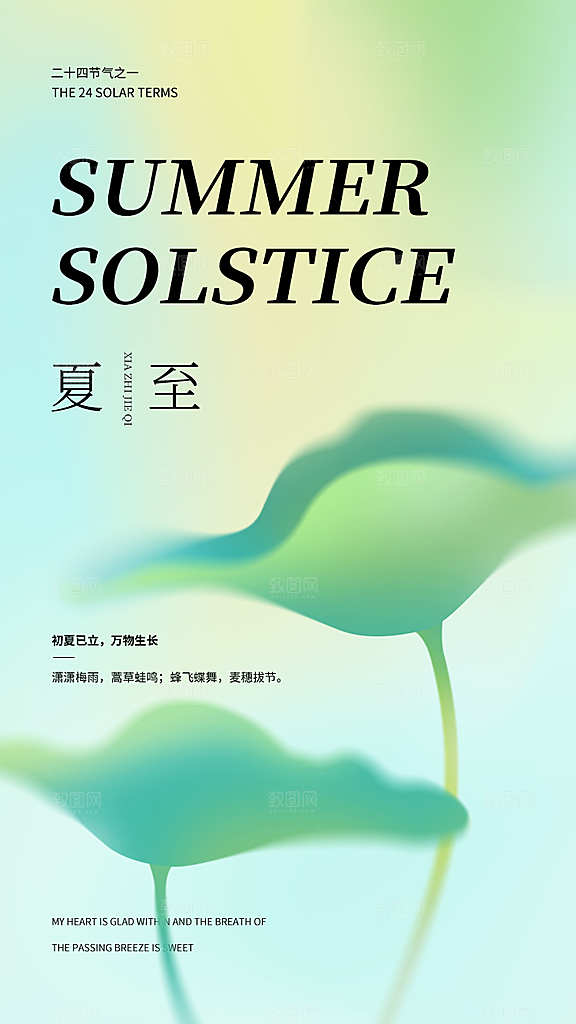 夏至节气简约大气海报
