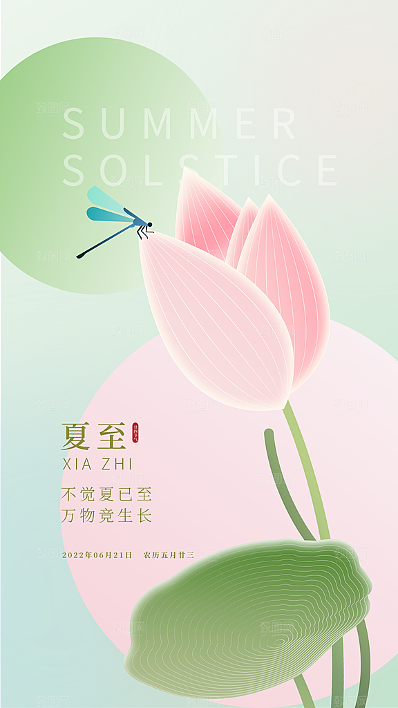 夏至节气简约大气海报