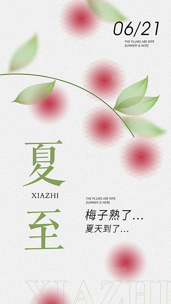 传统节气夏至海报模版