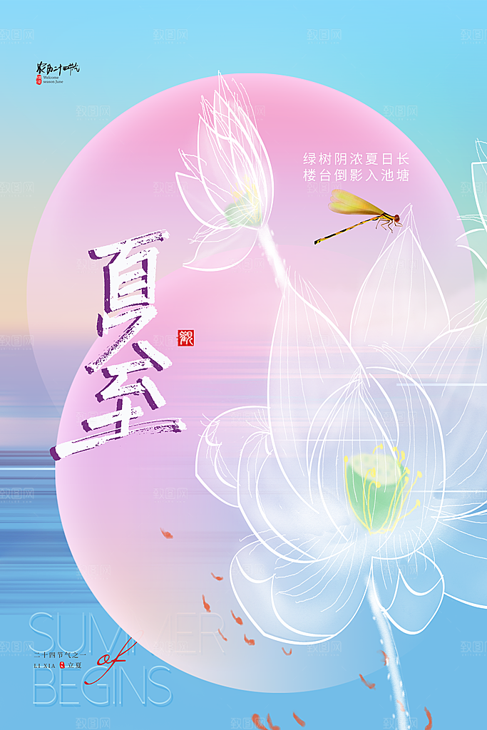 夏至节气简约大气海报