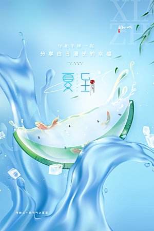 夏至节气简约大气海报