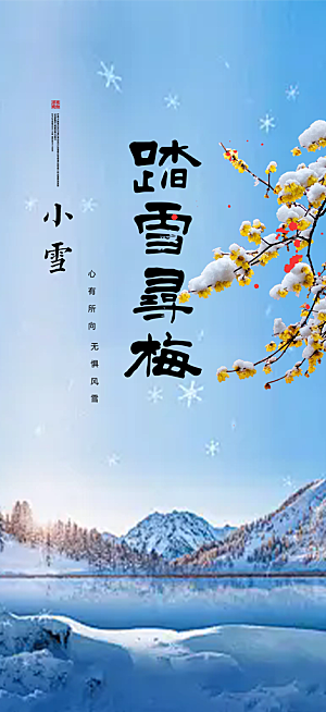 传统二十四节气小雪宣传活动海报