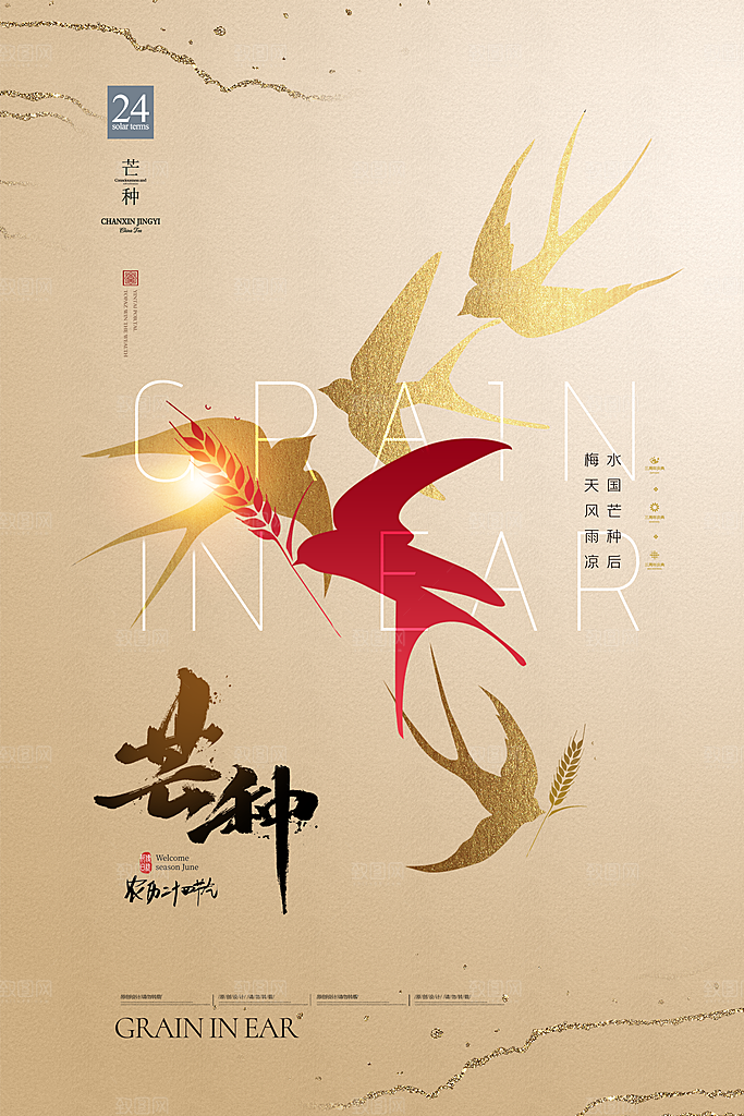 芒种节气简约大气海报