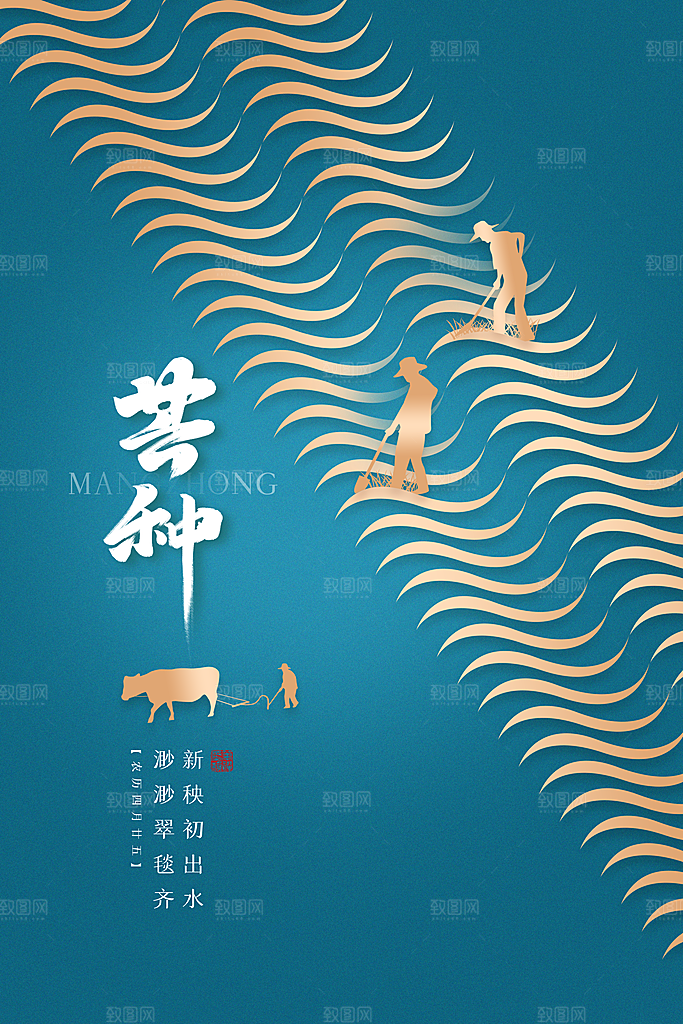 芒种节气简约大气海报