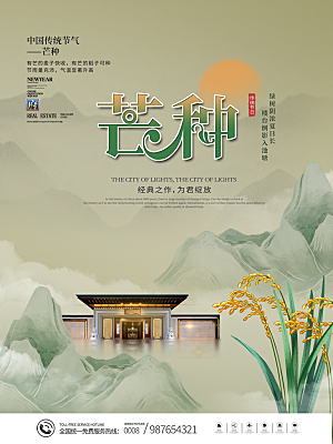 芒种节气简约大气海报