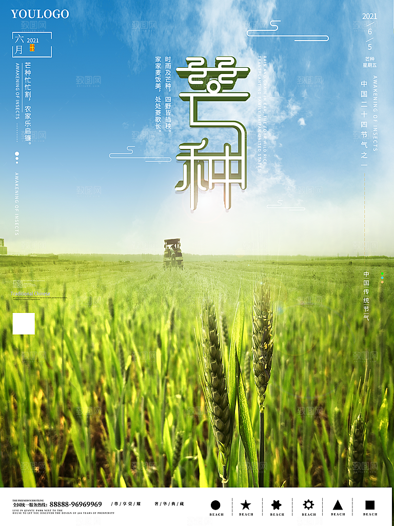 芒种节气简约大气海报