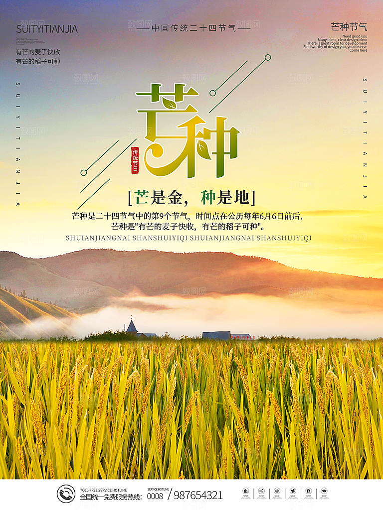 芒种节气简约大气海报