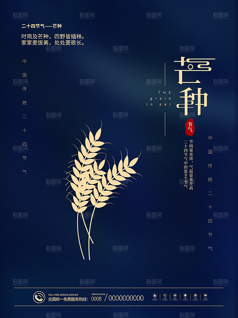 芒种节气简约大气海报