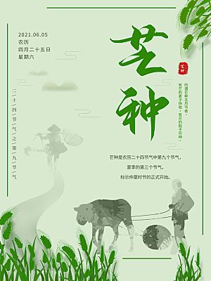 芒种节气简约大气海报