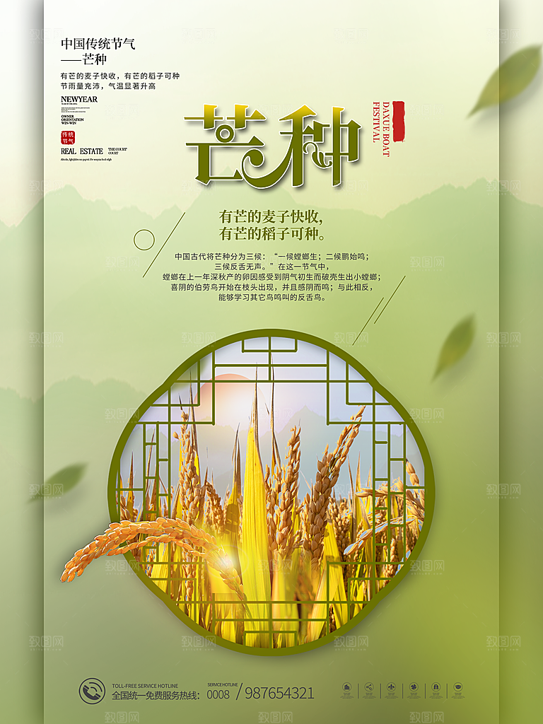 芒种节气简约大气海报
