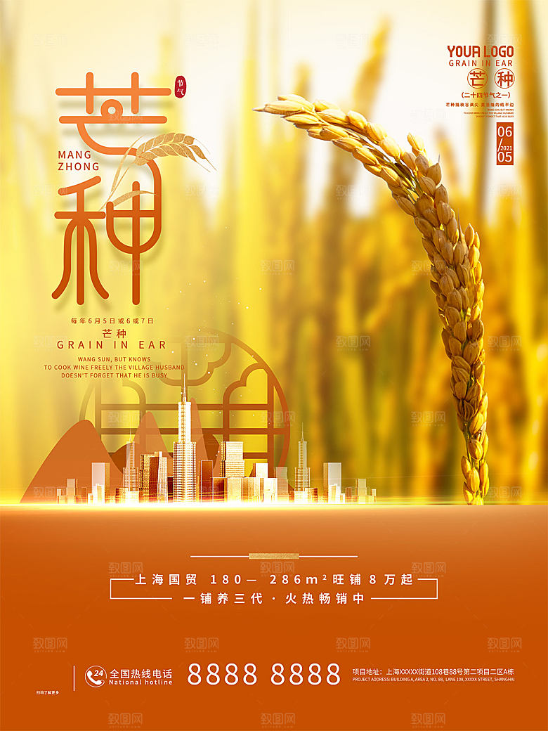 芒种节气简约大气海报