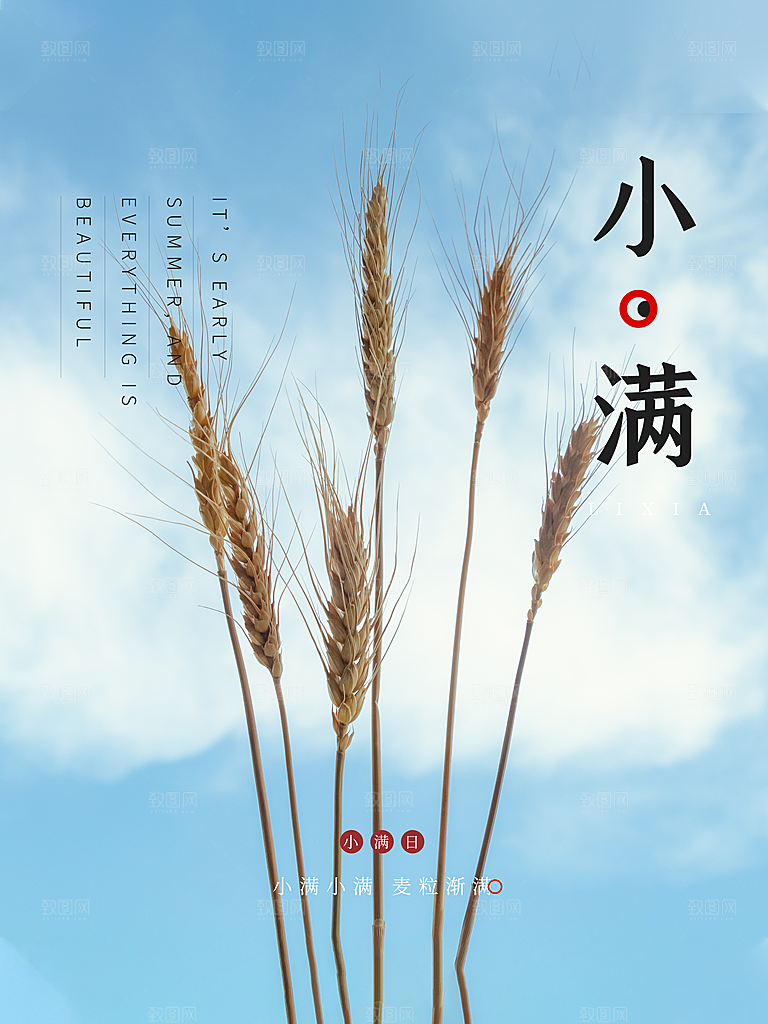 传统节气芒种海报模板