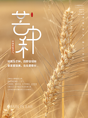 传统节气芒种海报模板