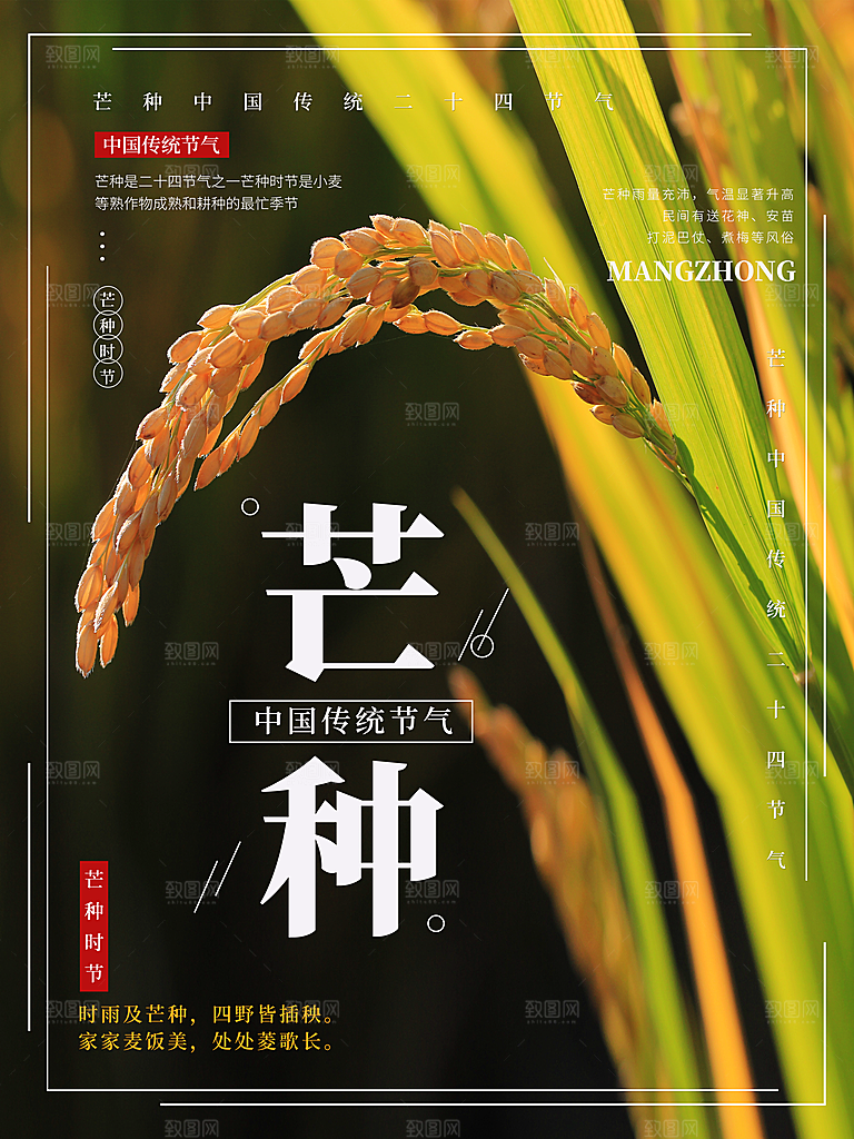 传统节气芒种海报模板