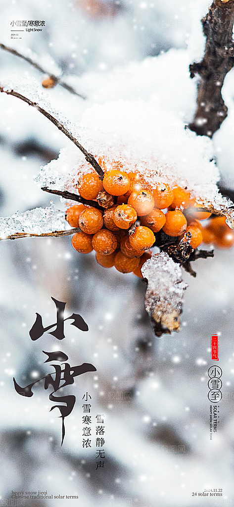 小雪节气下雪海报