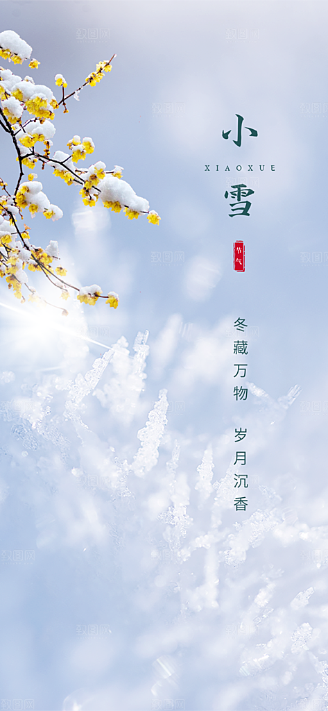 传统二十四节气小雪宣传活动海报