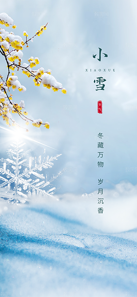 传统二十四节气小雪宣传活动海报