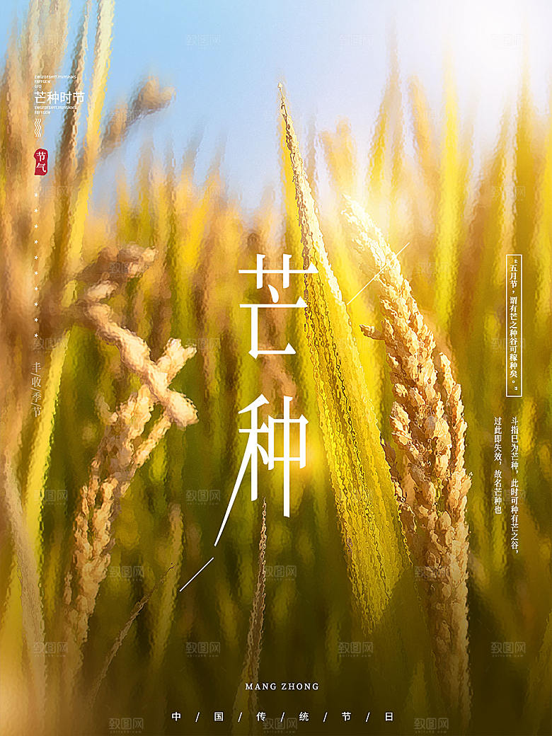 传统节气芒种海报模板