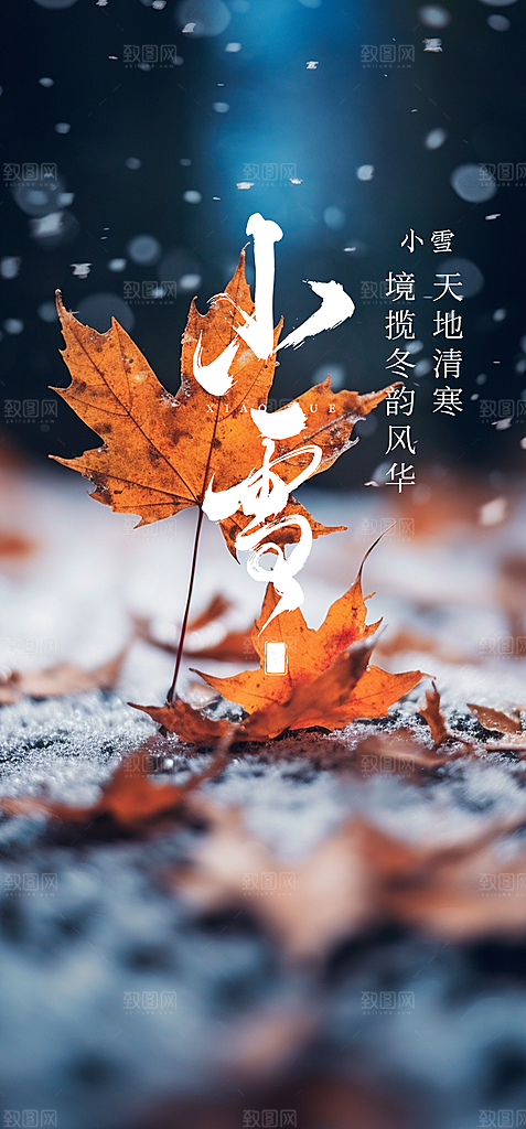 二十四节气小雪冬天宣传活动海报
