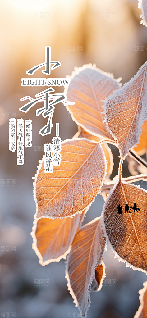 二十四节气小雪冬天宣传活动海报