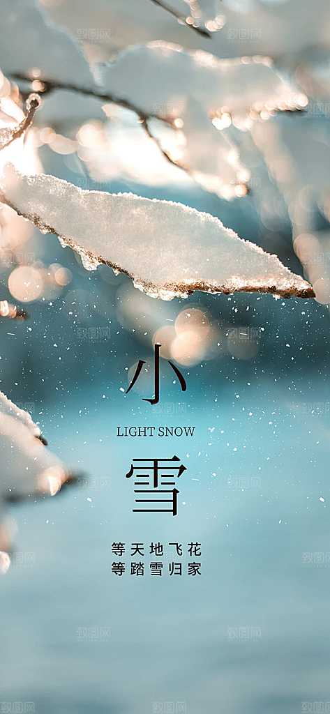 二十四节气小雪冬天宣传活动海报
