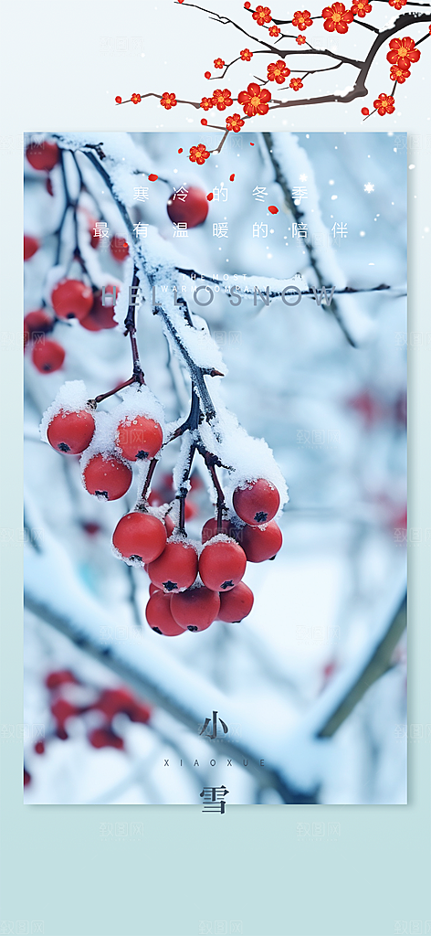 二十四节气小雪冬天宣传活动海报