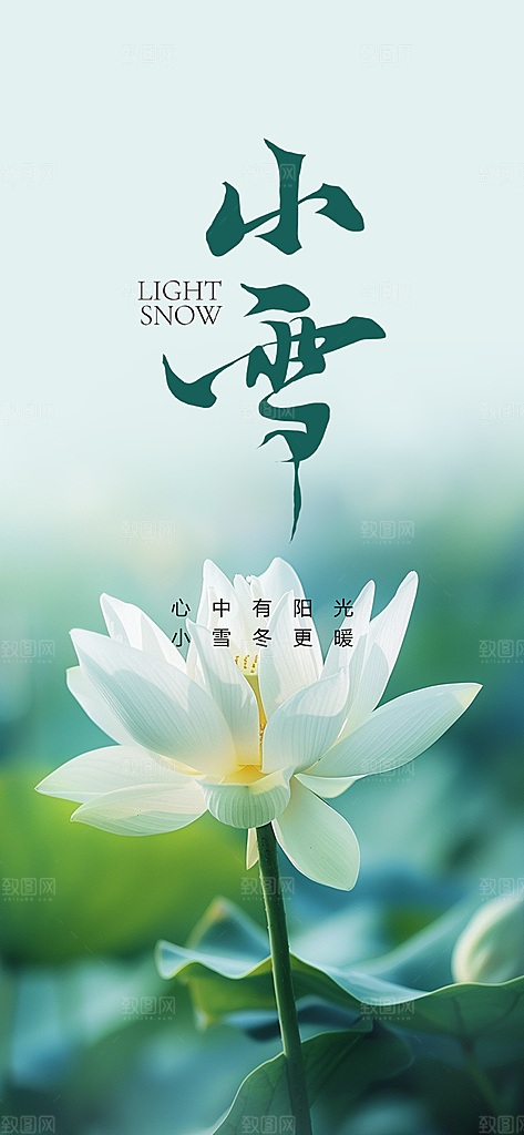 传统二十四节气小雪冬天宣传活动海报