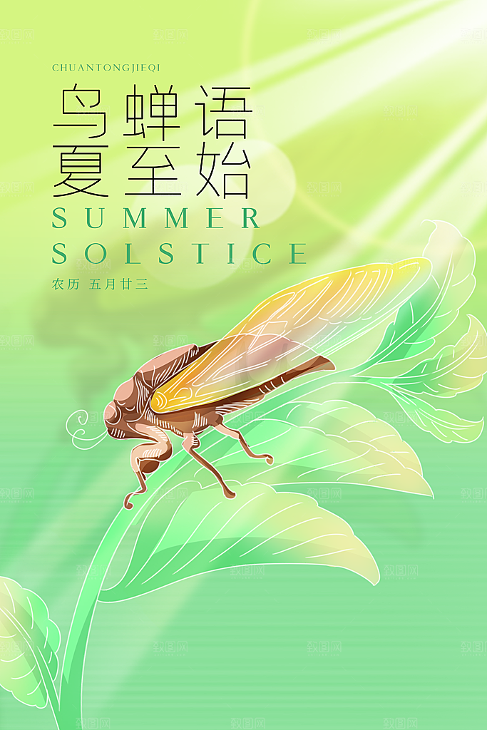 夏至节气简约大气海报