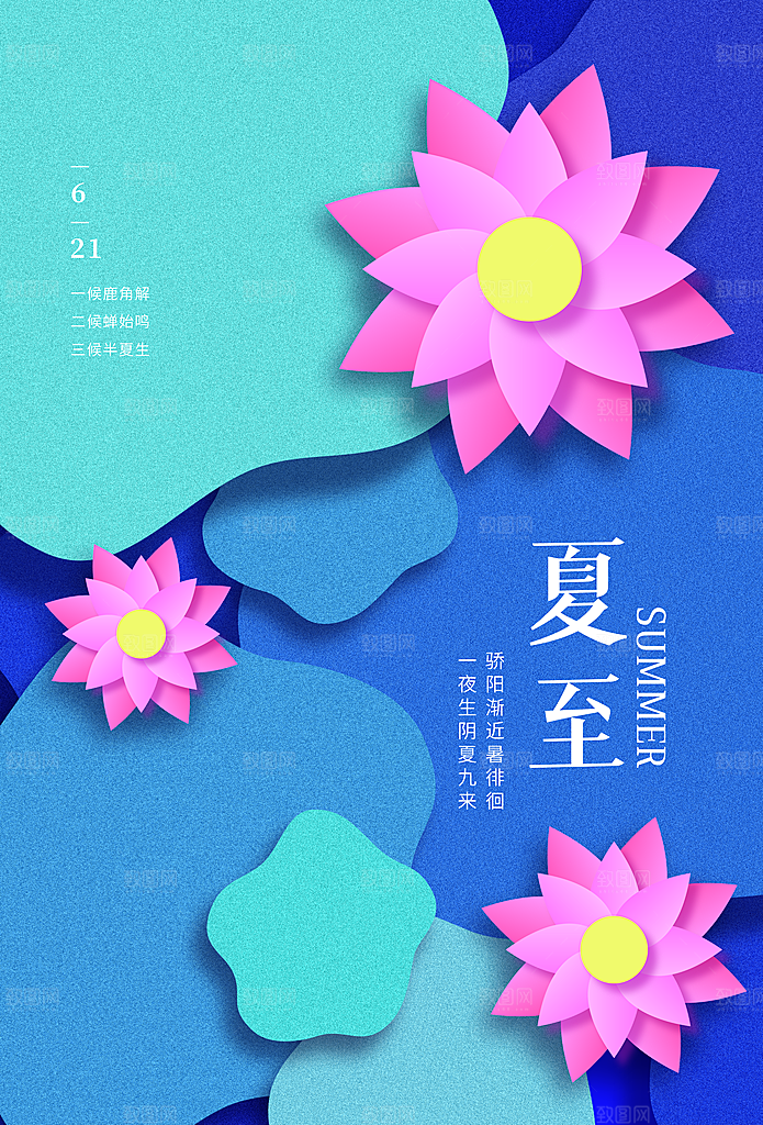 夏至节气简约大气海报
