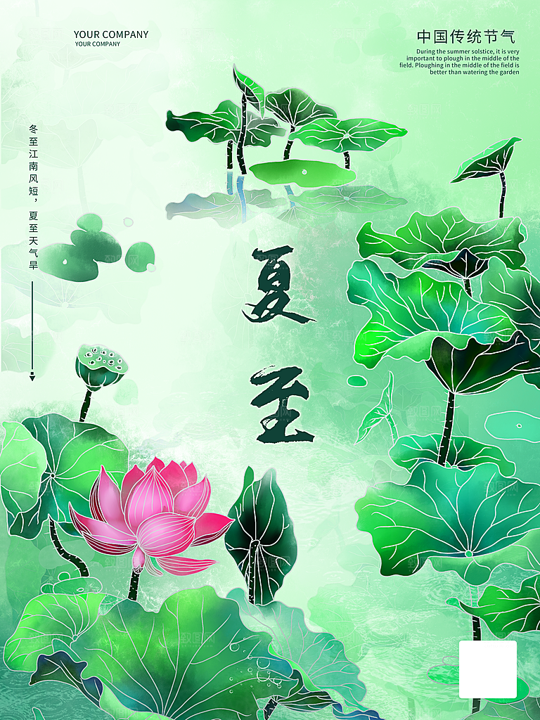 夏至节气简约大气海报