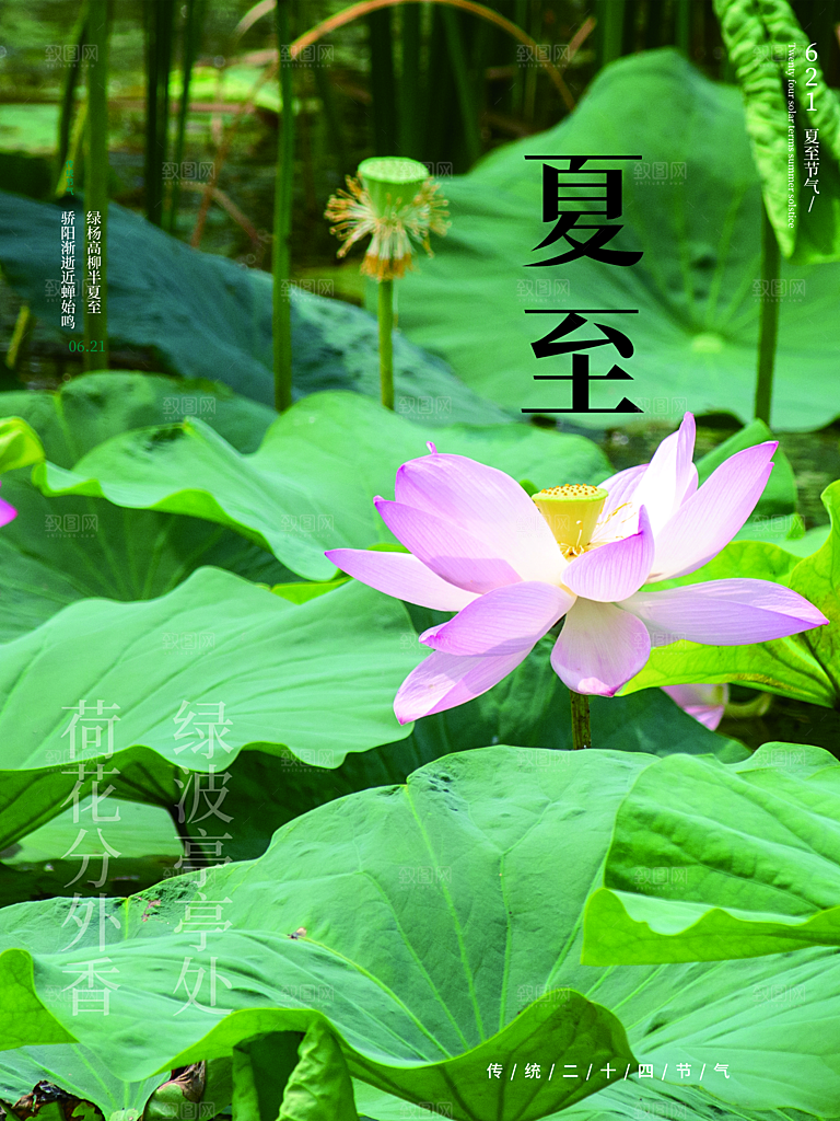夏至节气简约大气海报
