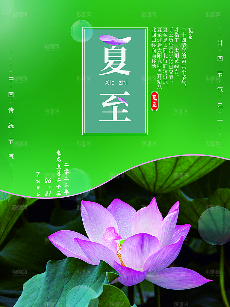 夏至节气简约大气海报