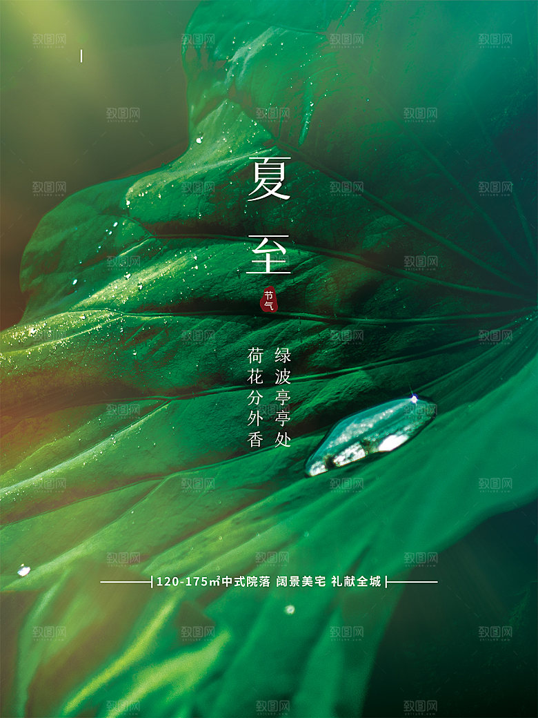 夏至节气简约大气海报