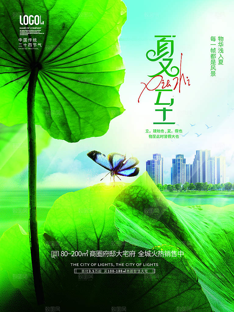夏至节气简约大气海报