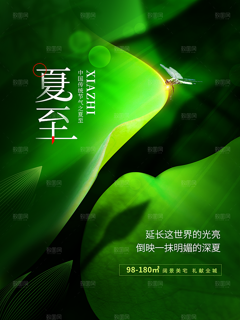 传统节气夏至海报模版