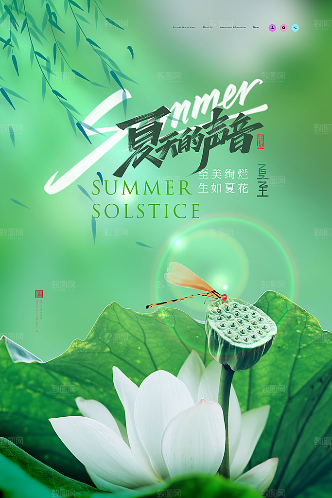 传统节气夏至海报模版