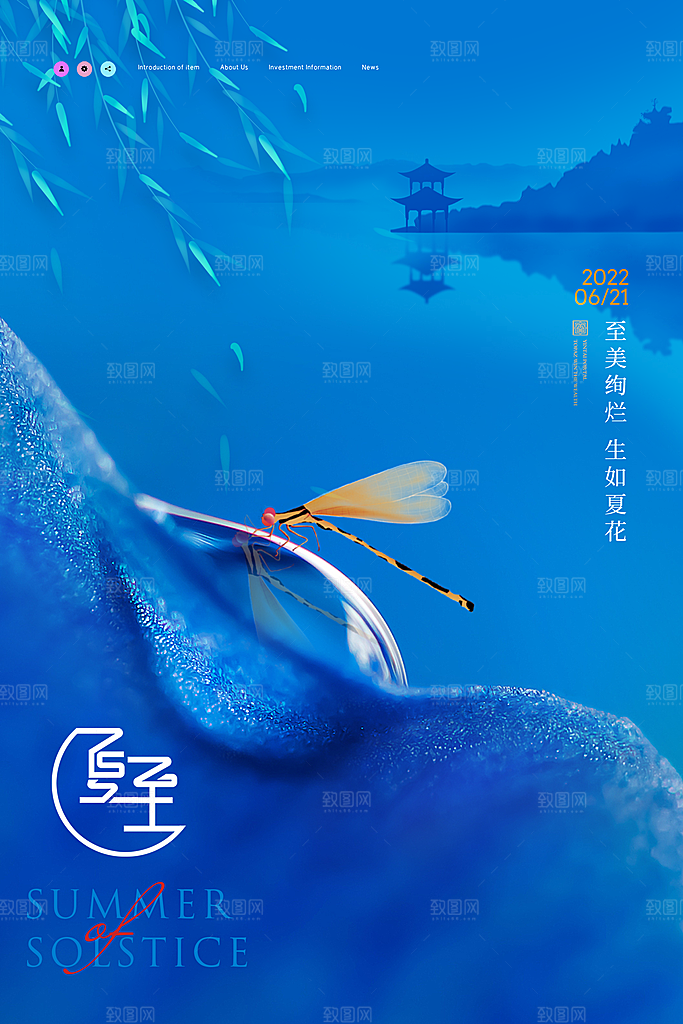 传统节气夏至海报模版