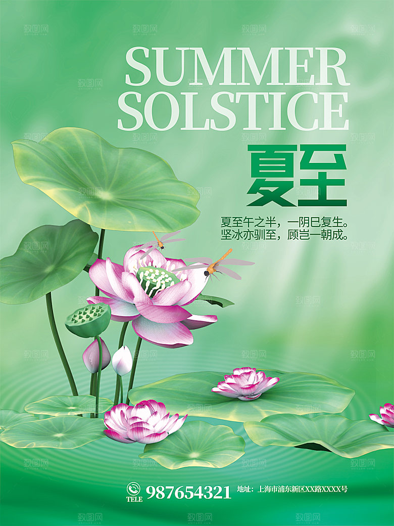 夏至节气简约大气海报