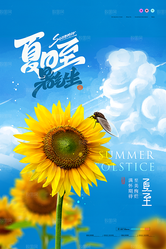传统节气夏至海报模版
