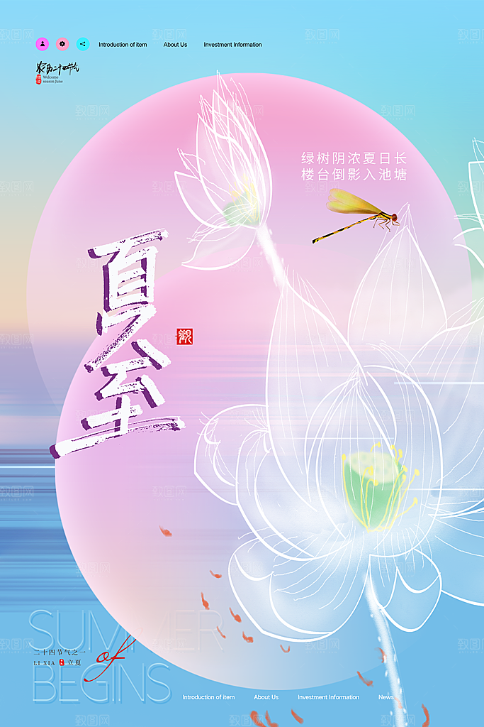 夏至节气简约大气海报