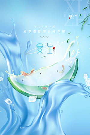 夏至节气简约大气海报