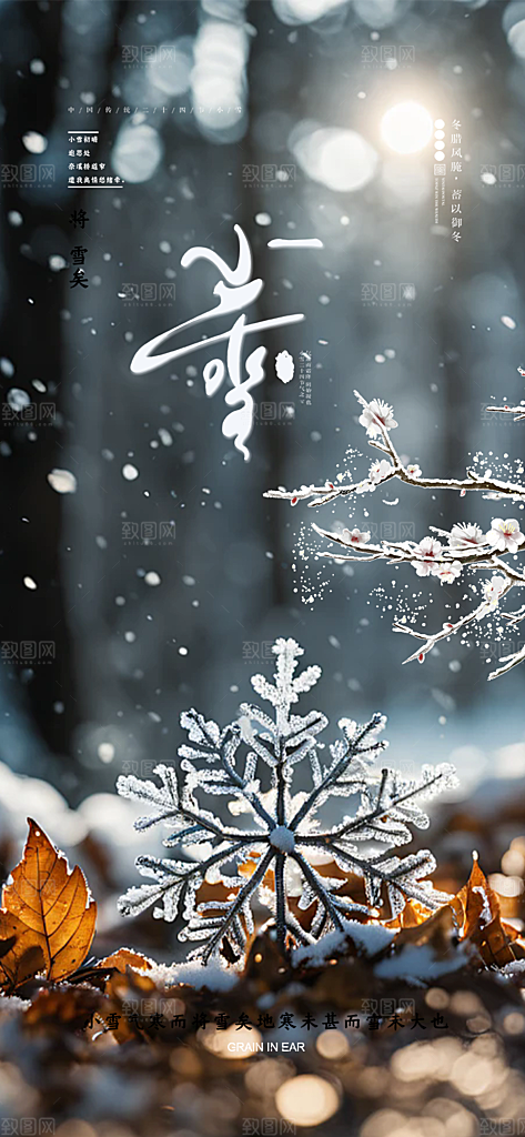 二十四节气小雪冬天宣传活动海报