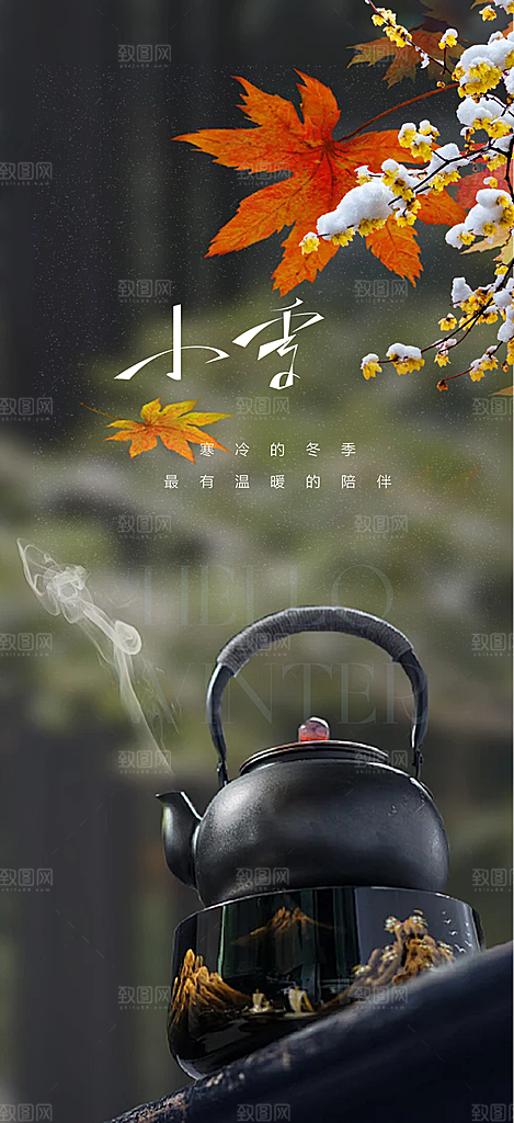 二十四节气小雪冬天宣传活动海报
