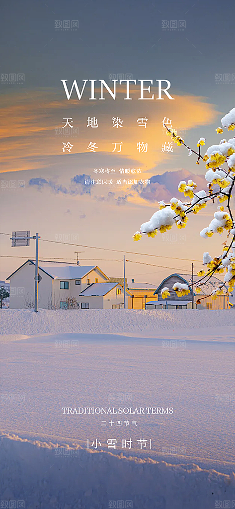 二十四节气小雪冬天宣传活动海报
