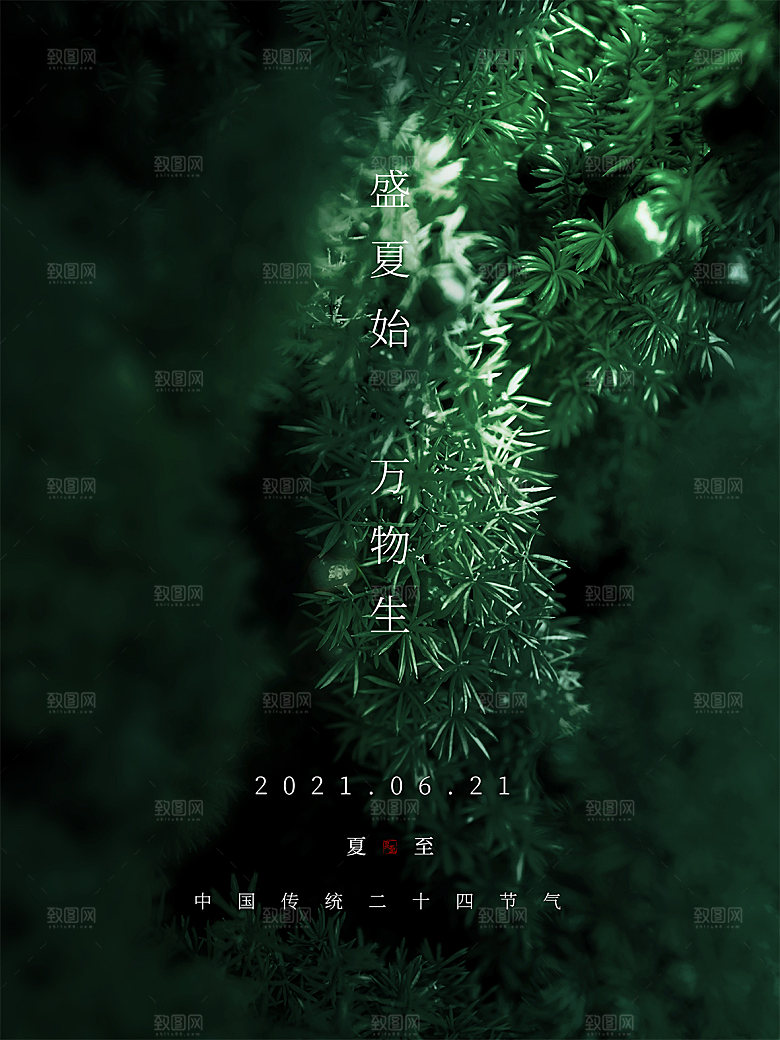 传统节气夏至海报模版