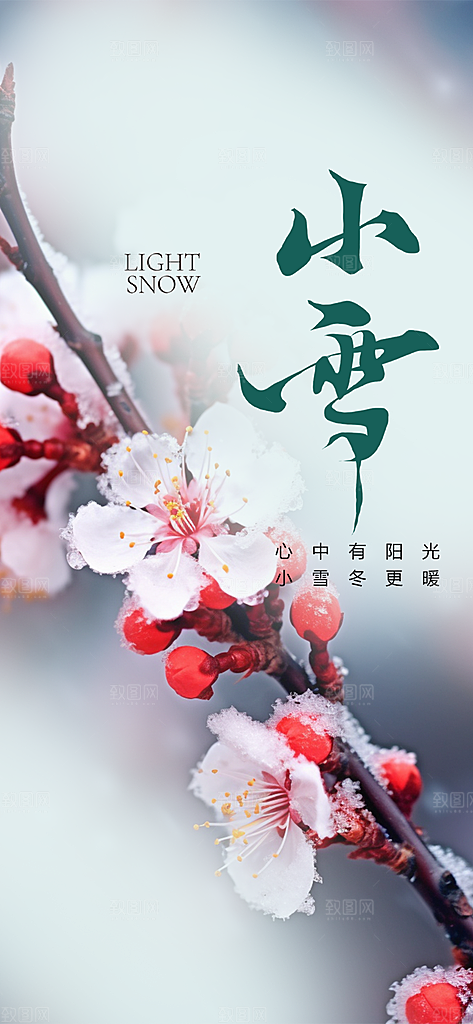 二十四节气小雪冬天宣传活动海报
